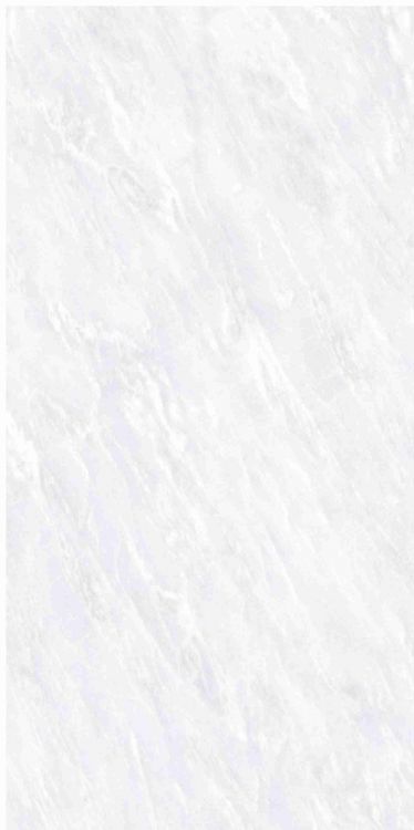 OL Vivid White Matte 12 x 24